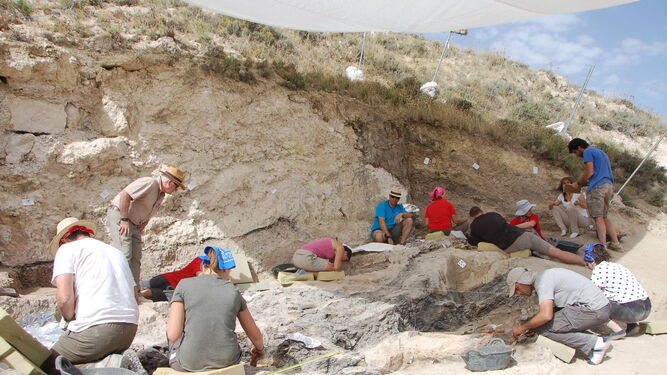 Arqueólogos participantes en el yacimiento pliocénico de Baza 1 trabajan por el terreno con los restos.