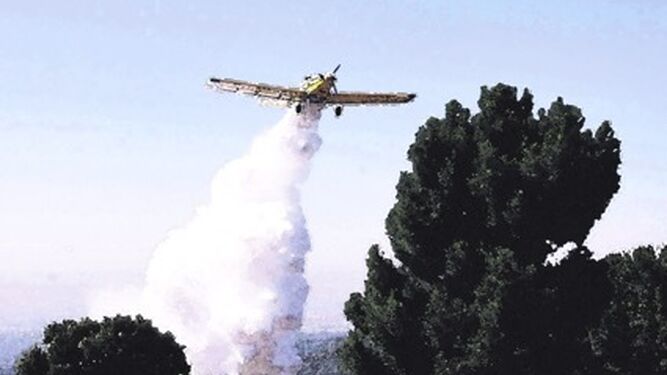 Un avión del Infoca participa en la extinción de un incendio.