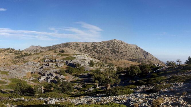 La Sierra de las Nieves será el tercer Parque Nacional andaluz.