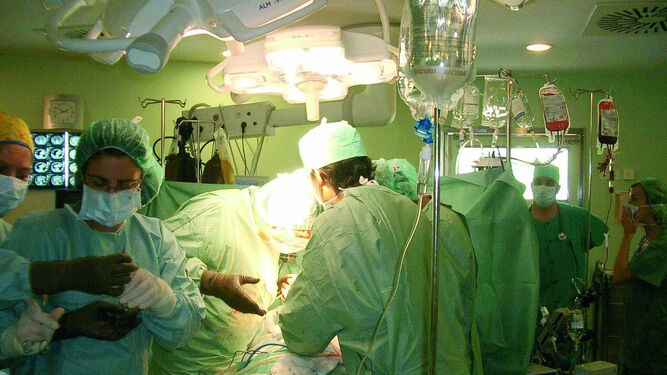 Un equipo durante un trasplante.