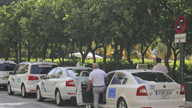 Un taxista en la parada situada junto al hotel Málaga Palacio.