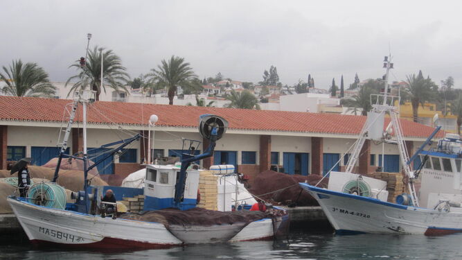 Barcos pesqueros amarrados a puerto.