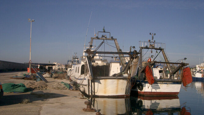Barcos atracados en el puerto La Caleta de Vélez.