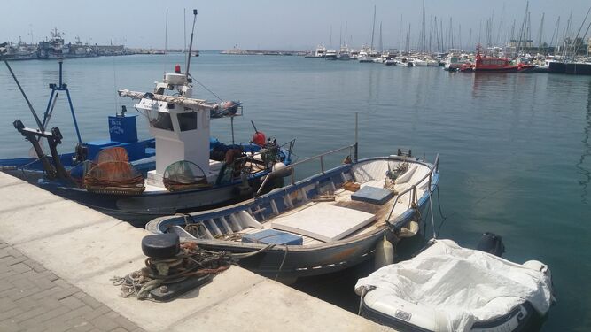 Barcos de pesca en el puerto de Estepona.