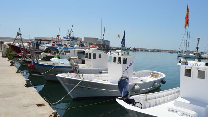 Barcos pesqueros en el puerto de la Bajadilla de Marbella