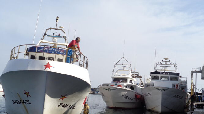 Un barco llega al puerto de Caleta de Vélez en una imagen reciente.