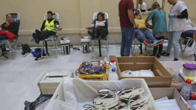 Maratón de donación de sangre en el Ayuntamiento de Málaga, este verano.