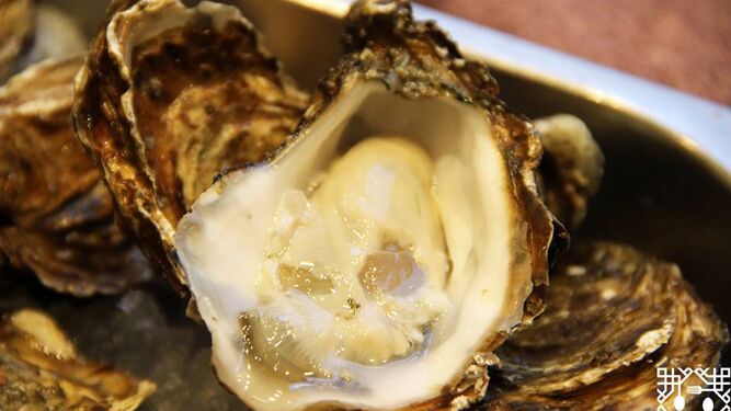 Becerrita celebra una semana dedicada a las ostras