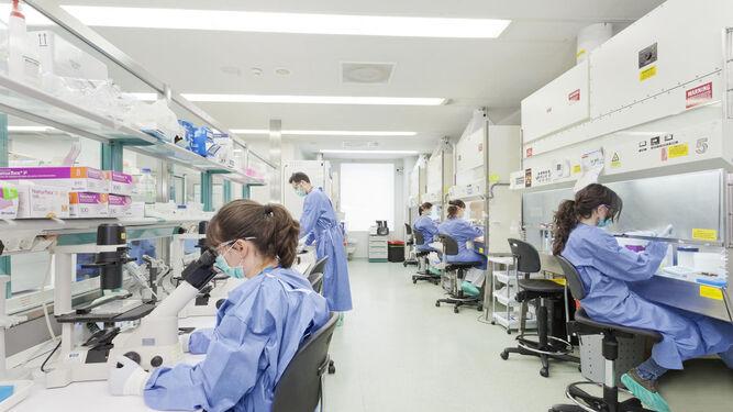 El Carlos III de Madrid, el Instituto de Investigación del Sida IrsiCaixa (en la imagen) y el Hospital Clínic de Barcelona son los centros más influyentes.
