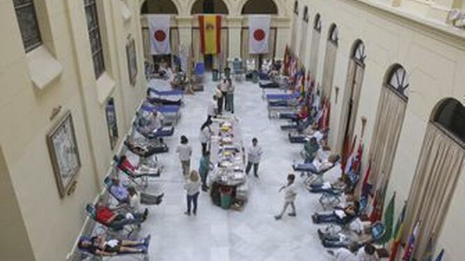 Reciente donación de sangre en el Ayuntamiento de Málaga.