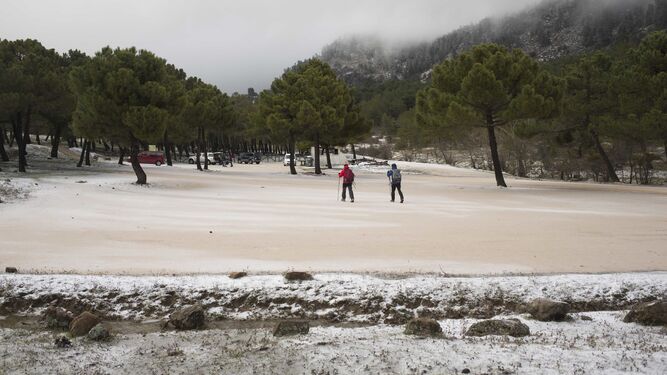 Las im&aacute;genes de la primera nevada del invierno en la Sierra de las Nieves