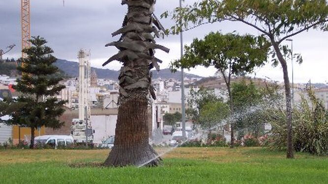 Una zona verde en Vélez Málaga