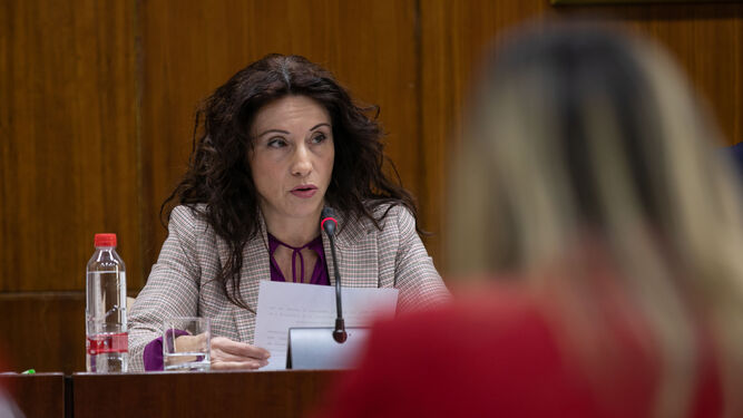 La consejera de Igualdad, Rocío Ruiz, en el Parlamento andaluz.