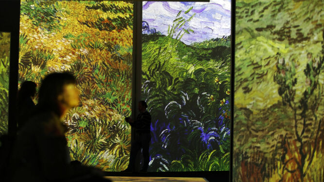 Presentaci&oacute;n de la exposici&oacute;n 'Van Gogh Alive' en el Muelle Uno de M&aacute;laga.