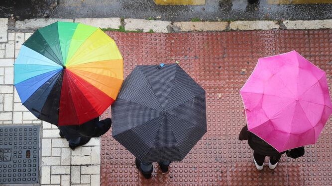 Varios peatones con paraguas por las lluvias en Málaga este viernes.