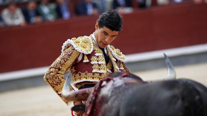Pablo Aguado citando al toro que le hirió el domingo en Las Ventas