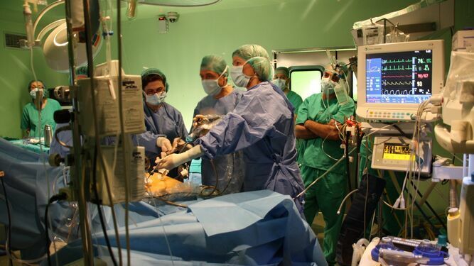 Profesionales durante una operación