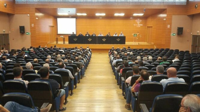 Reunión del Consejo Sectorial de Aceite de Oliva de Cooperativas Agro-alimentarias de Andalucía en Jaén.