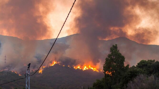 Fotos del dispositivo de extinci&oacute;n del incendio de Estepona