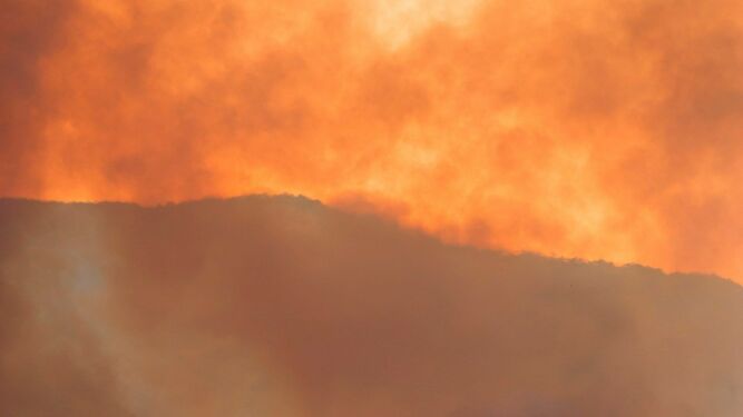Fotos del dispositivo de extinci&oacute;n del incendio de Estepona