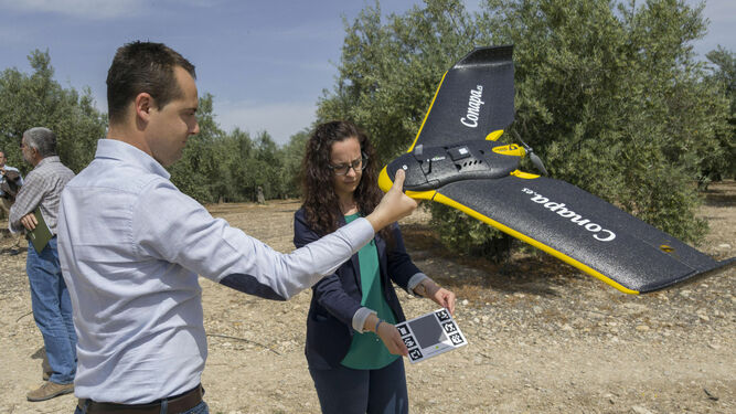 El uso de drones en el campo se extenderá cada vez más gracias a sus aplicaciones.