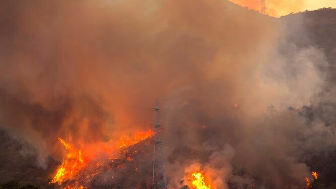 El paraje Peñas Blancas de Estepona, en llamas