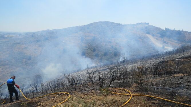 Una de las zonas forestales de Mijas en las que provocó el incendio el investigado
