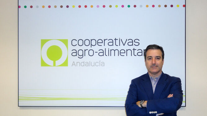 Jaime Martínez-Conradi, en la sede de Cooperativas Agro-Alimentarias de Andalucía.
