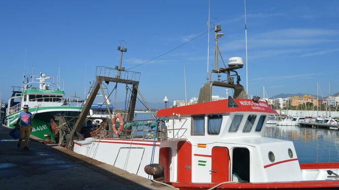 Barcos en el puerto pesquero de Marbella.