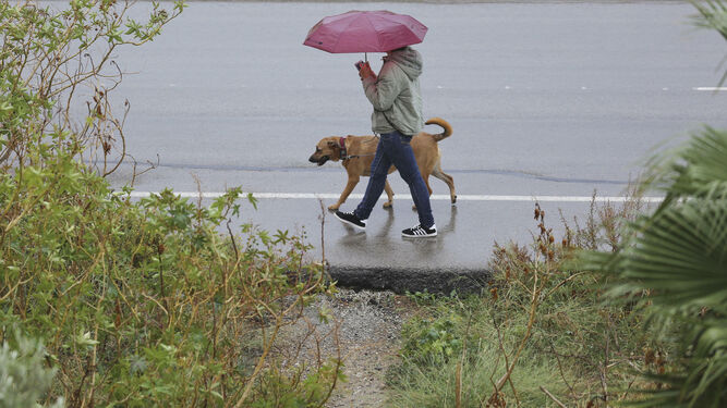 Un hombre pasea con un paraguas este jueves en Málaga.