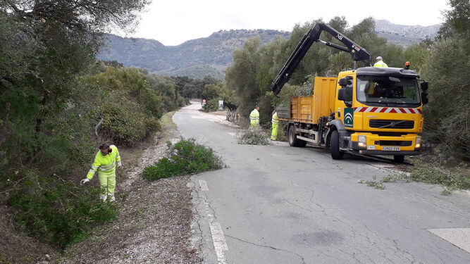 Operarios durante las obras de mejora de una carretera de Málaga