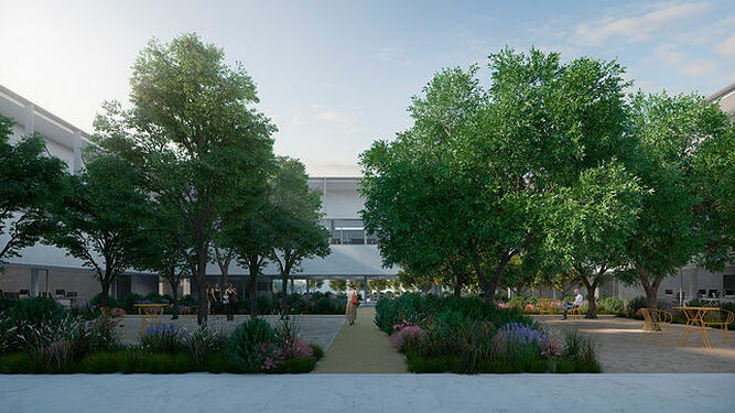 Diseño del patio del futuro Pabellón de Gobierno de la UMA.