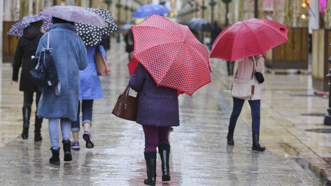 Varias personas pasean por la calle Larios protegidas por paraguas.
