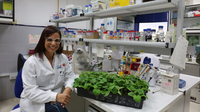 La investigadora Dolores Fernández en los laboratorios del departamento de Microbiología de la Facultad de Ciencias de la UMA.