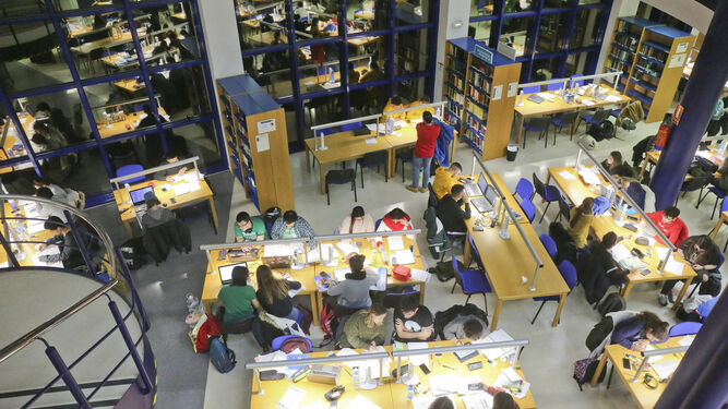 Estudiantes en la biblioteca de la Facultad de Ciencias.