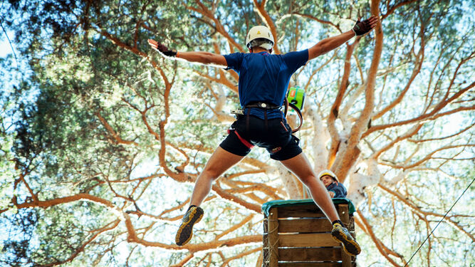 Una persona salta desde un árbol en una de las actividades del parque de aventuras.