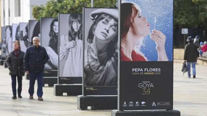 Las fotos de la exposici&oacute;n sobre Pepa Flores en los Goya en M&aacute;laga