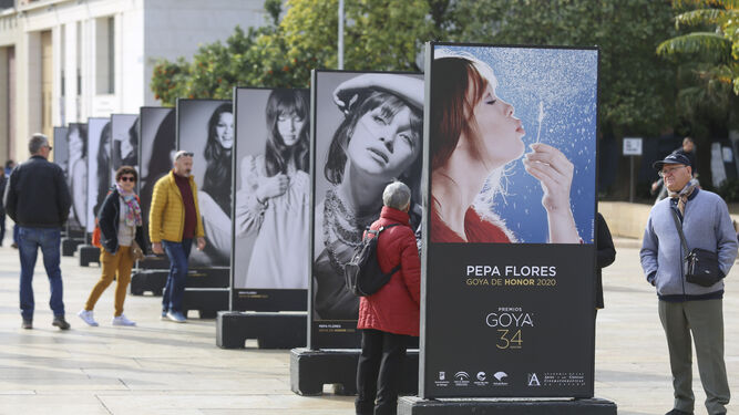 Las fotos de la exposici&oacute;n sobre Pepa Flores en los Goya en M&aacute;laga