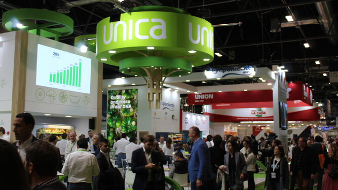 Unica Group es la primera cooperativa andaluza en obtener el reconocimiento de Asociación de Organizaciones de Productores de Frutas y Hortalizas