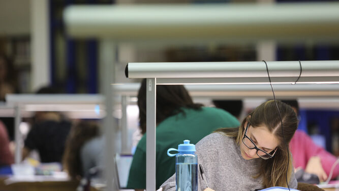 Una alumna de la UMA estudia en la biblioteca de Ciencias.