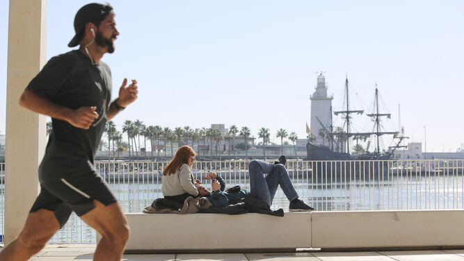 Un hombre hace deporte en el Palmeral de las Sorpresas, en el Puerto de Málaga.