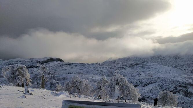 Fotos de la nieve en Ronda, en la subida al Torrecilla