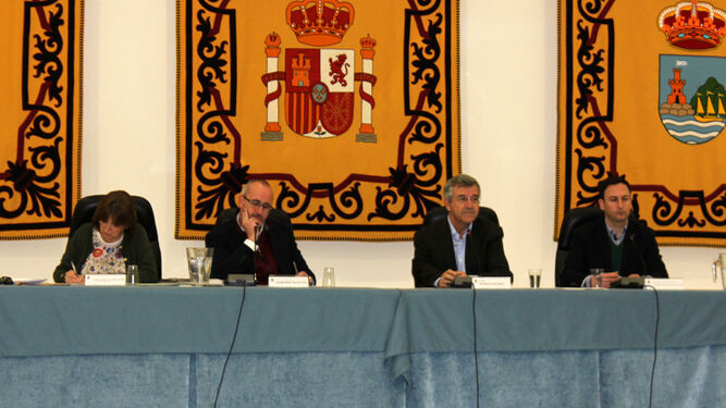 Un momento del pleno del Ayuntamiento de Estepona.