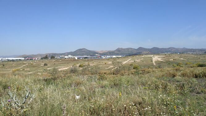 Vista de los terrenos elegidos por el Ayuntamiento de Málaga para la Expo 2027.