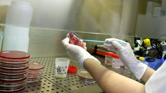 Un sanitario hace unas pruebas en el laboratorio de un hospital