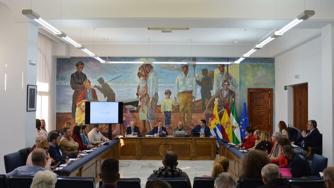 Pleno en el Ayuntamiento de Rincón de la Victoria.
