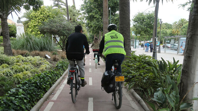 Varios ciclistas circulan por el carril del Paseo del Parque.