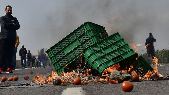Agricultores  arrojan y queman sus productos en la calzada mientras cortan la autovía a la altura de El Ejido, este martes, en la cuarta semana de manifestaciones  en todo el país para reclamar soluciones para el campo y precios justos en origen.