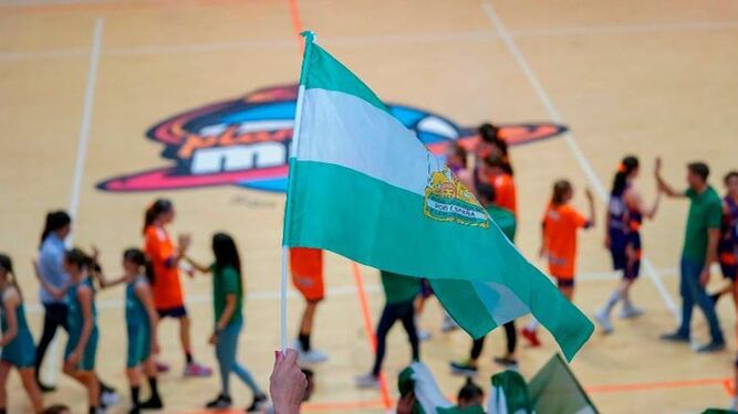 La Federación Andaluza de Baloncesto quiere terminar sus competiciones.