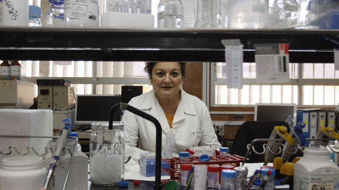 La catedrática Francisca Sánchez Jiménez en un laboratorio de la UMA.
